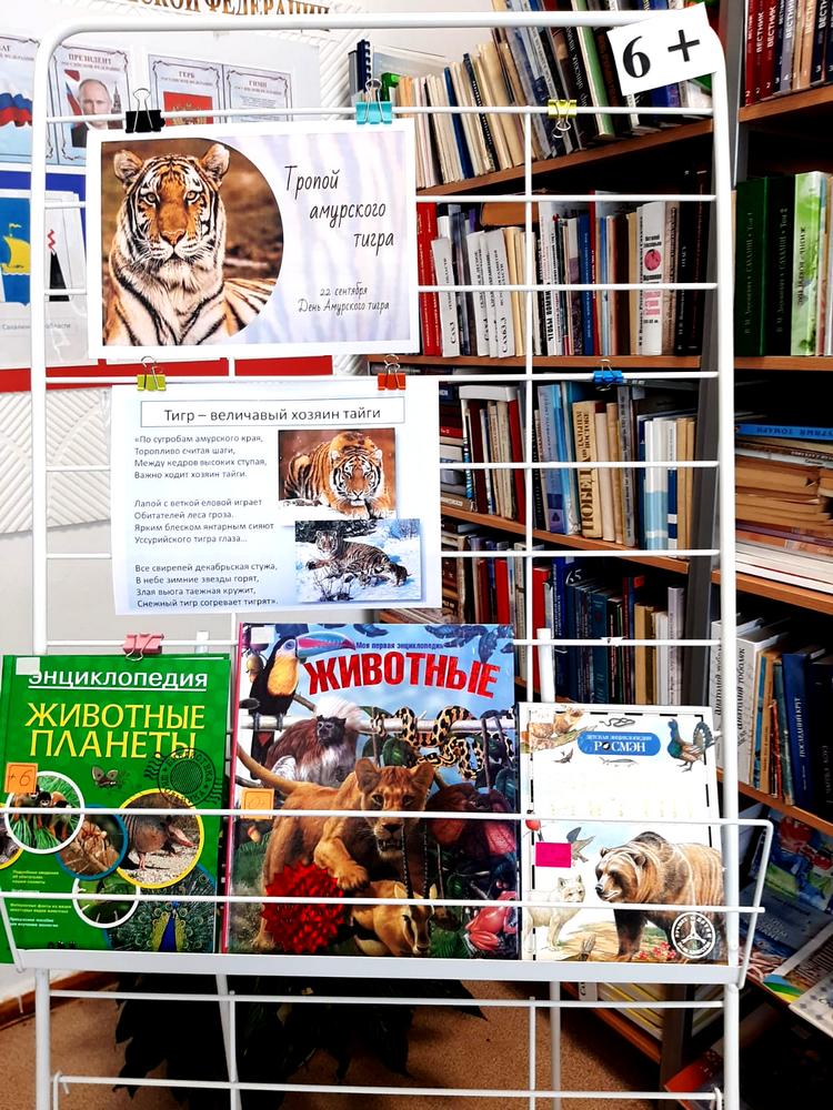 Книжная выставка «Тропой Амурского тигра»