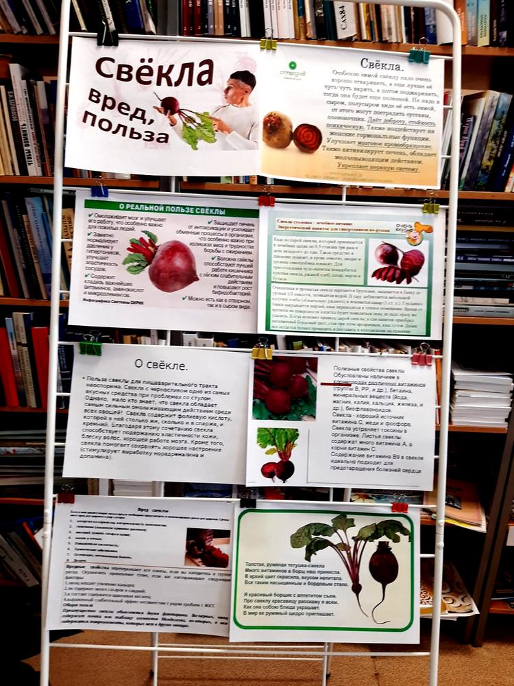 Полезна свёколка для нас, её мы держим про запас